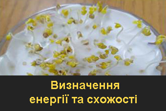 Визначення енергії та схожості