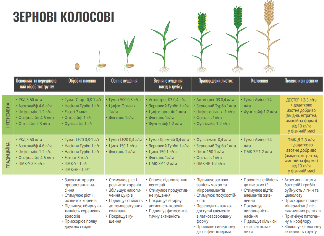 Зернові